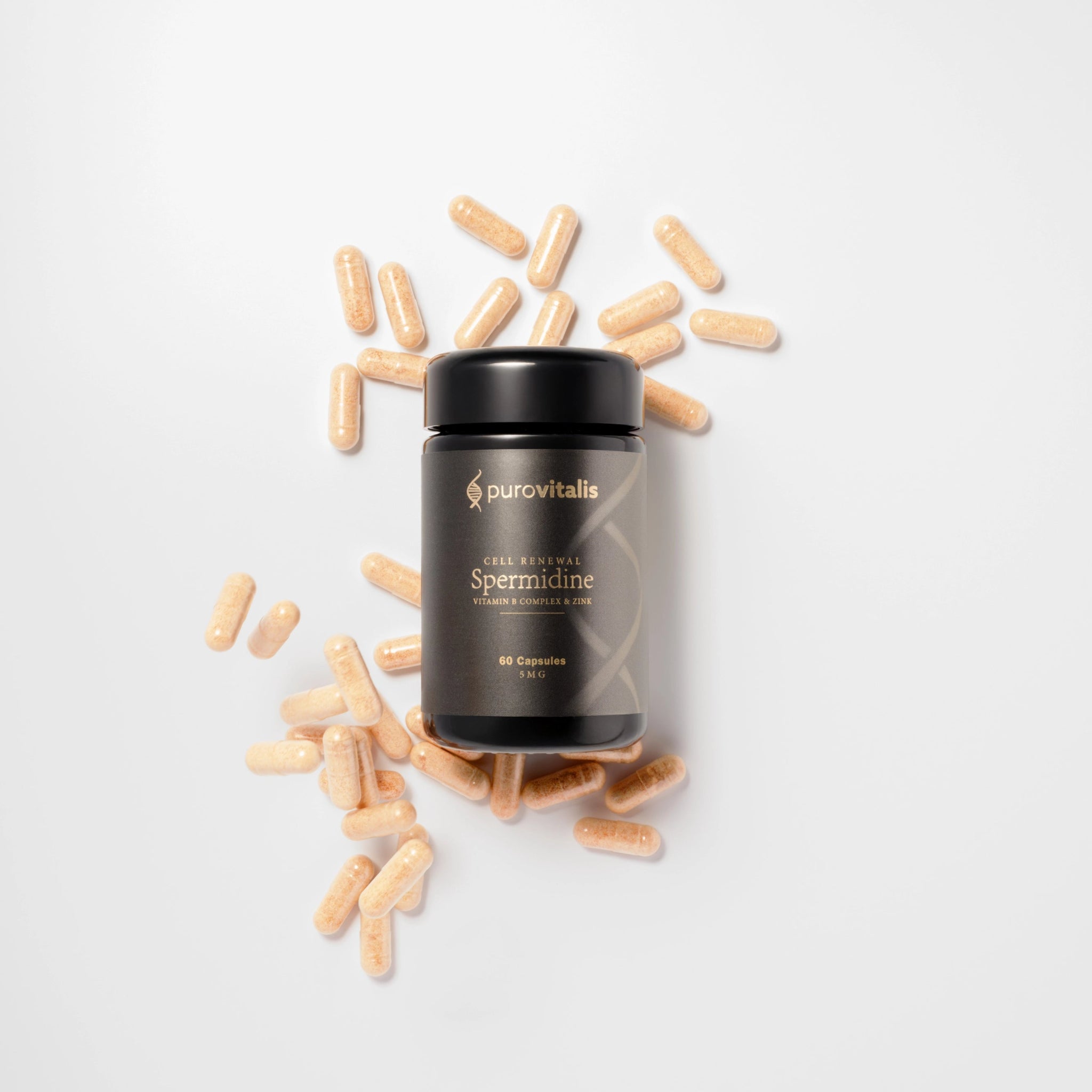 Spermidine Fusion